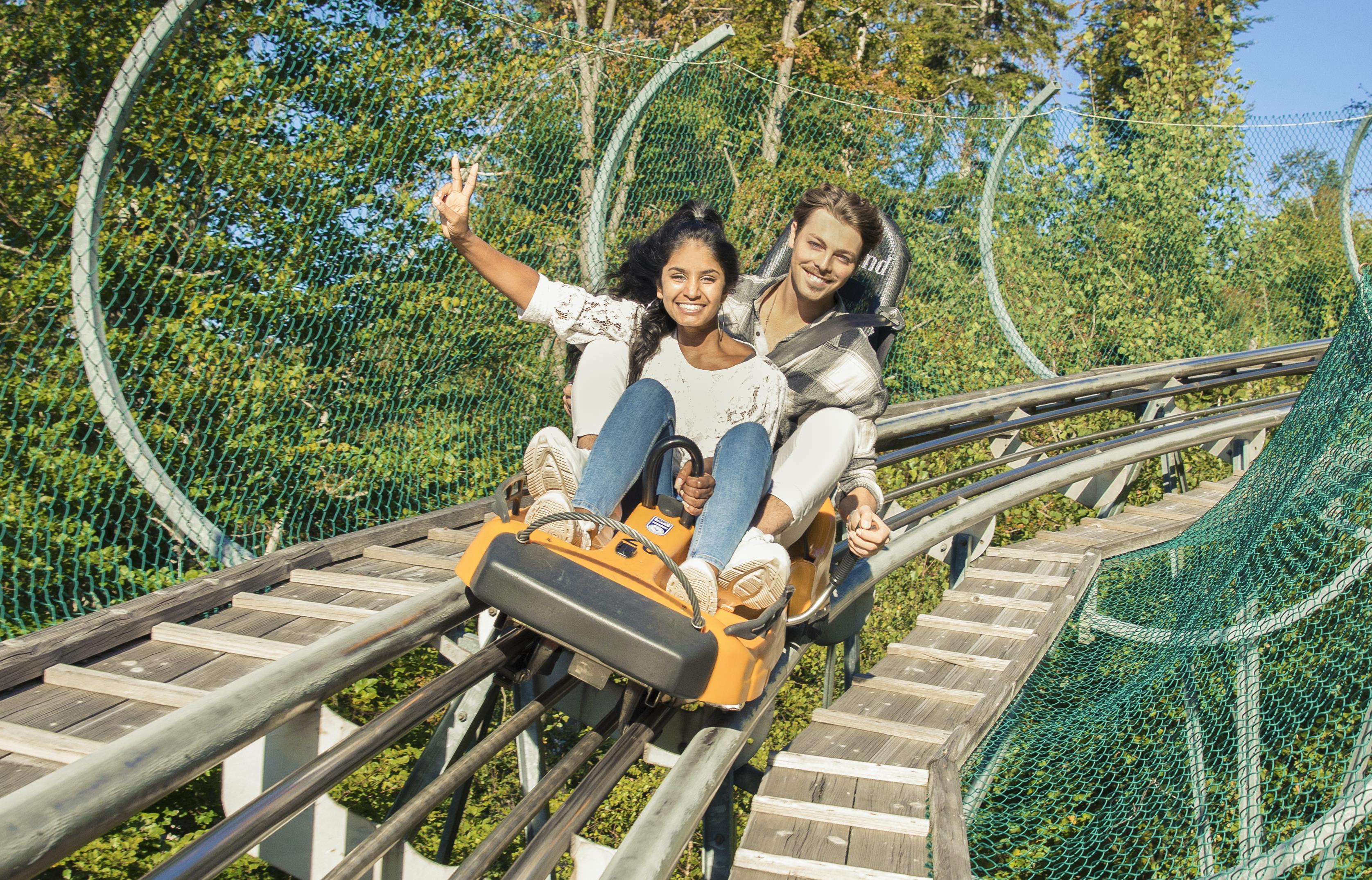 Alpsee Coaster